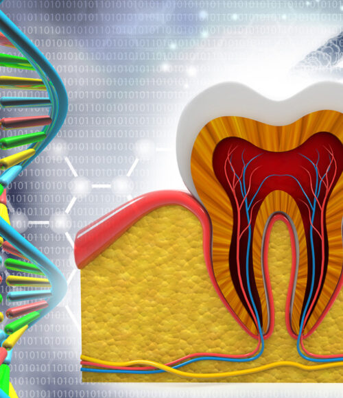Ganzheitliche Zahnmedizin