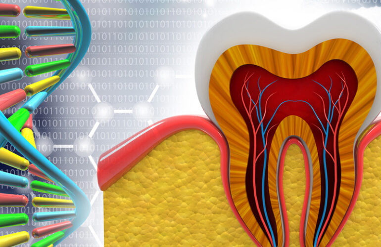 Ganzheitliche Zahnmedizin