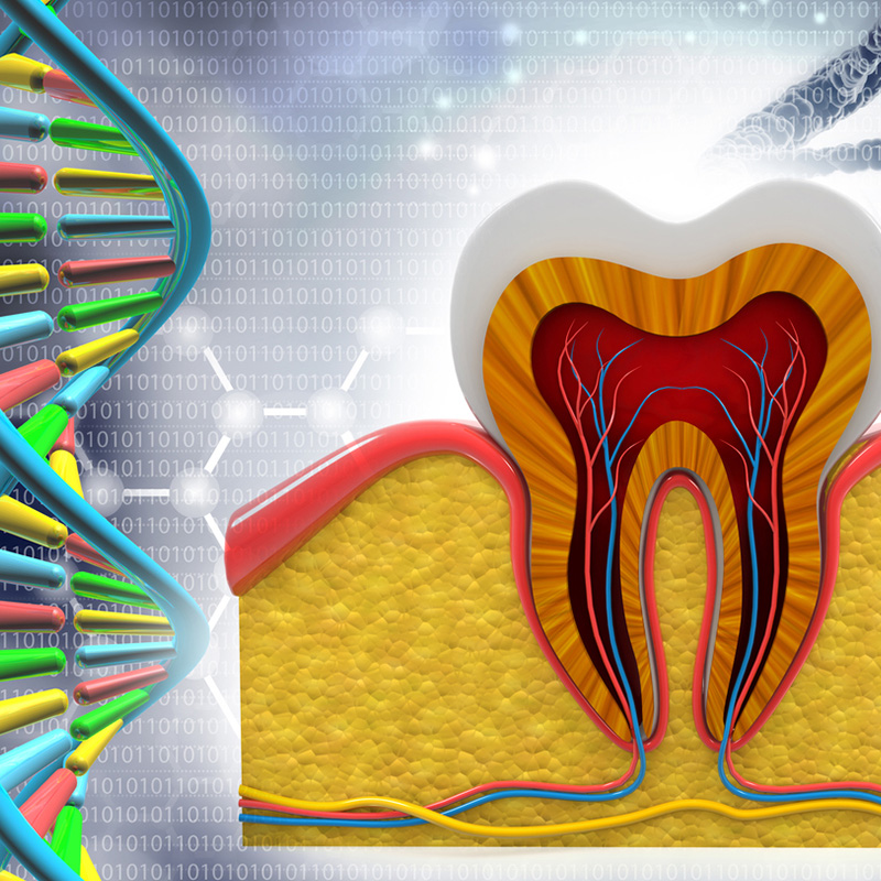 Odontoiatria olistica